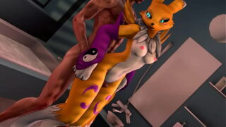 Digimon – Renamon – Fucked from behind