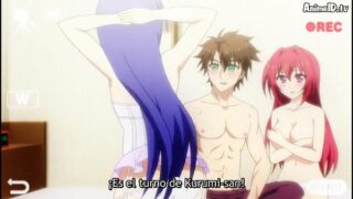 Shinmai Maou no Testament Burst 10 (Final)