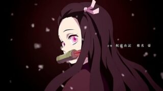 kimetsu no yaiba episodio 2 sub español